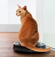compact-living-robot-vacuum-cat