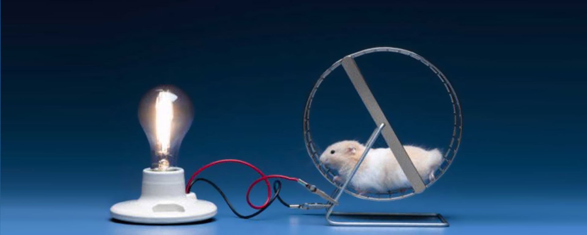 banner-energy-efficiency-hamster