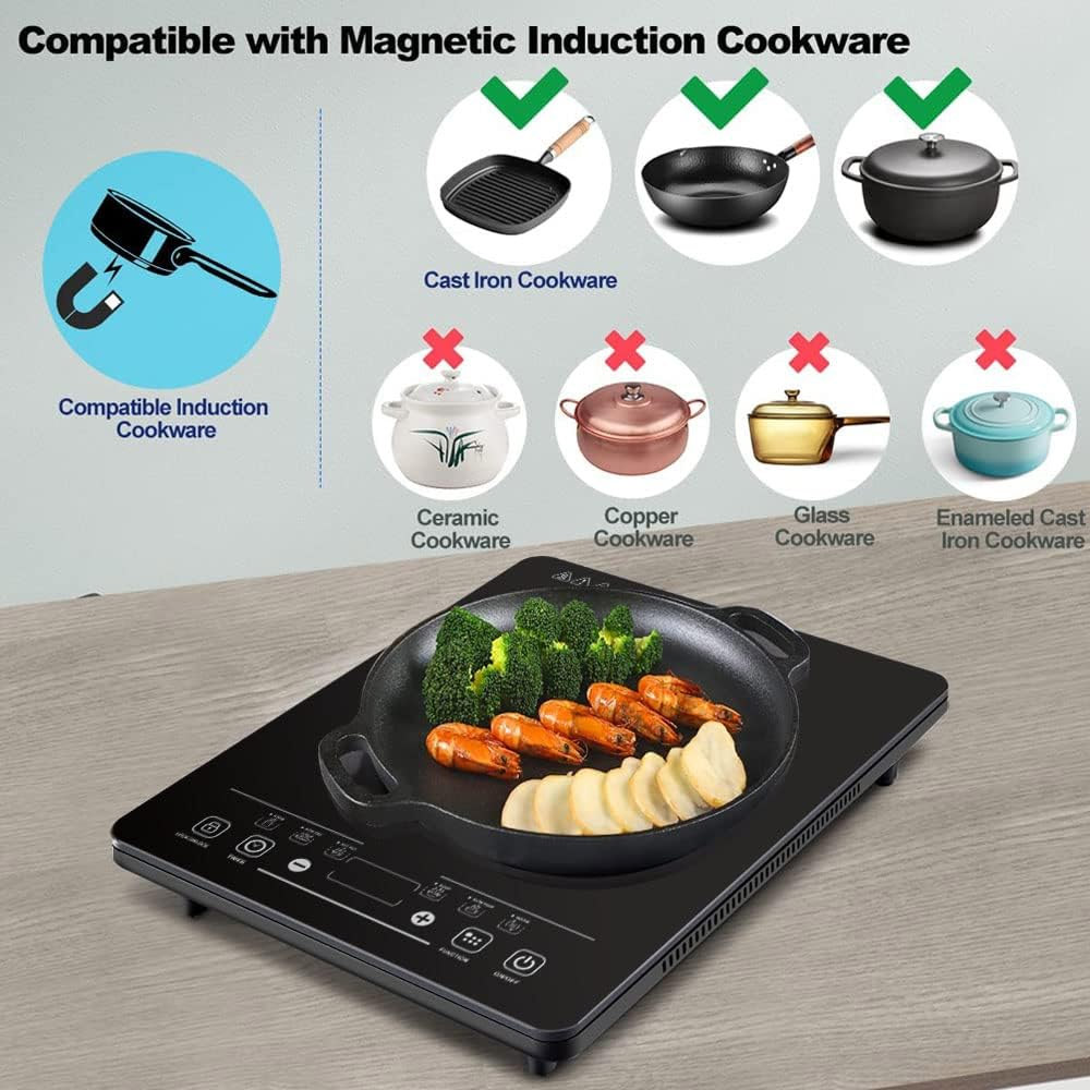 Panana Electric Induction Single Cooker